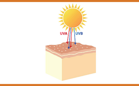臨床腫瘤科 檢測 診斷 治療及預防癌症 Hk Clinical Oncology